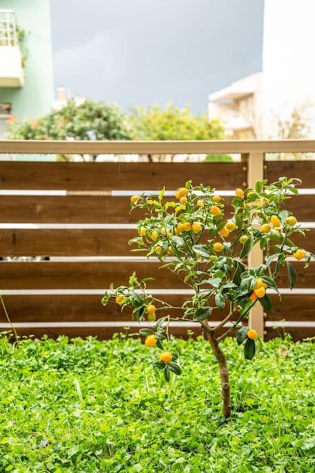 Apartment Cosy Flat With Private Garden Heraklion (Crete)